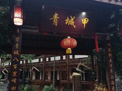 -青城甲(青城山店)