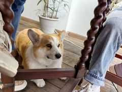 -肥朵食堂(带梦胡同店)