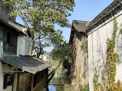 -乌镇东栅景区