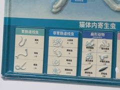 -宠颐生宠物医院外科·内科·皮肤科·影像科(石龙店)