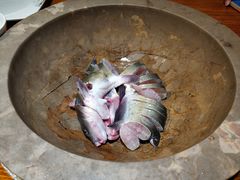 -云中鱼蒸汽石锅鱼(浦东食品城店)