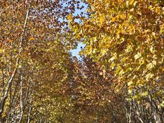 -浙江农林大学(东湖校区)