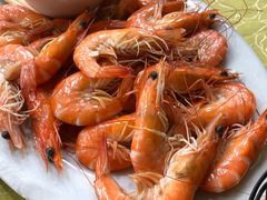 白灼虾-秋姐美食店(海陵岛保利店)