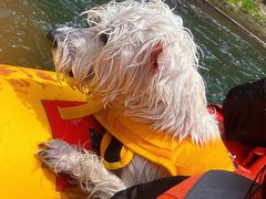 -安吉龙王山峡谷漂流