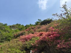 -木兰云雾山