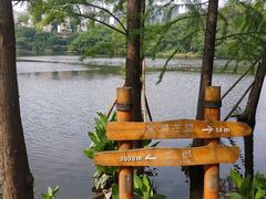 -重庆彩云湖湿地公园