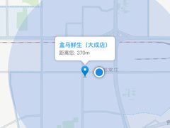 -盒马鲜生(大成店)