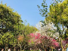 -苏州上方山国家森林公园