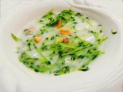 上汤豆苗-有腥气私房菜·寻味顺德