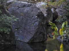 -石台牯牛降景区