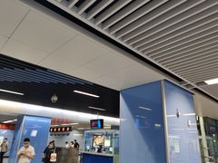 -大龙山(地铁站)