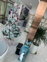 -沐泽SALON