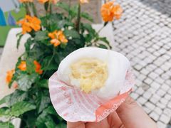 -澳门长洲糯米糍(柯打苏沙街店)
