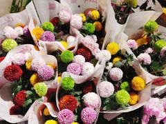 -循礼门鲜花花市(武汉循礼门店)