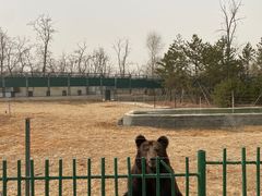 -秦皇岛野生动物园