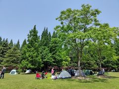-上海滨江森林公园