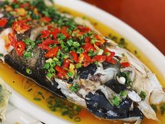 四明湖鱼头-品雅轩农家乐