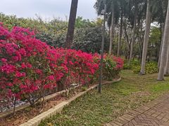 -深圳龙潭公园