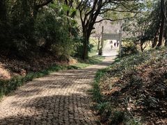 -苏州上方山国家森林公园