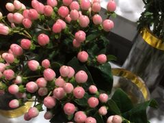 -EPOQUE·一刻花店(兴业太古汇店)