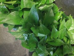 -新兴园饺子馆(北京百子湾店)