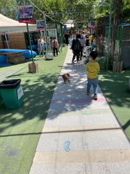 -萌宠亲子动物乐园(槐房万达店)