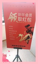 -蚂蚁造型沙龙