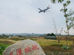 -空港花田景区