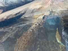 -波塞冬旅游度假区