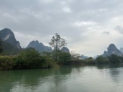 -明仕田园