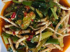 -野菌皇海景野生菌火锅(滨海大道店)