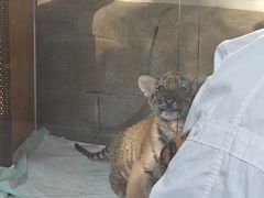 -大连森林动物园