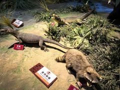 -陕西自然博物馆