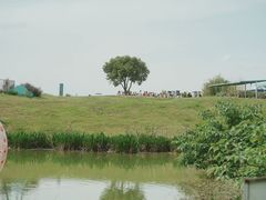 -空港花田景区