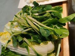 -贵州人家·酸汤火锅·20年老字号