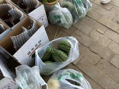 -庞各庄西瓜蔬菜采摘园·锦华瓜园