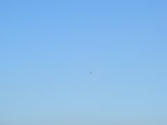-台场海滨公园船码头