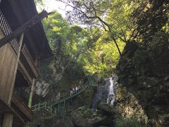 -藏龙百瀑风景区