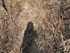 -萍乡武功山风景名胜区