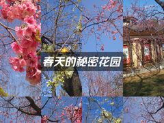 -昆明动物园