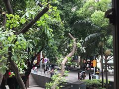-朱氏胖子烂火锅(洪崖洞店)