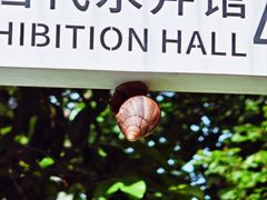 -南越王博物院(王宫展区)