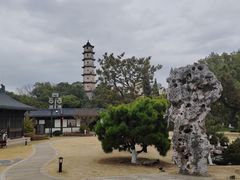 -江心屿景区