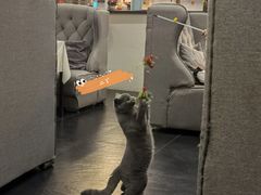 -吱咖啡西式简餐