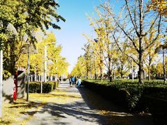 -北京奥林匹克公园