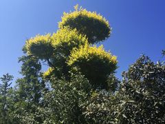 -嬉乐湾休闲旅游区