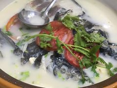 -全乐鱼馆·淳牌有机鱼直营店