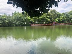 -桂林市榕杉湖景区