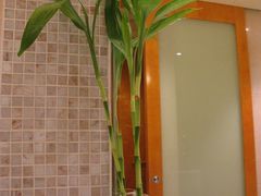 卫生间摆设-苏州金鸡湖尼盛万丽酒店