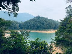 -广州市流溪河国家森林公园